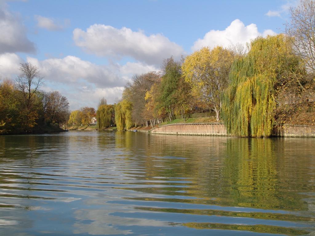 Chambre Avec Jardin Pierre Curie Bry-sur-Marne Pokój zdjęcie