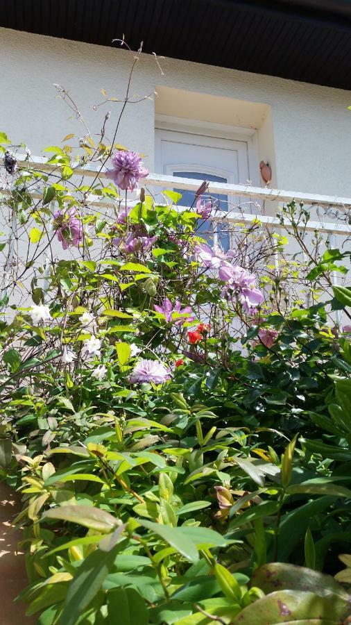 Chambre Avec Jardin Pierre Curie Bry-sur-Marne Zewnętrze zdjęcie