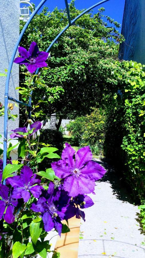 Chambre Avec Jardin Pierre Curie Bry-sur-Marne Zewnętrze zdjęcie